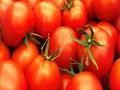Japan's ketchup producer stop Xinjiang tomato imports over rights abuse - Hindi News | Japan's ketchup producer stop Xinjiang tomato imports over rights abuse | Latest international News at Lokmattimes.com
