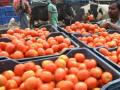 UP Mandi Parishad selling tomatoes at Rs 75 per kg - Hindi News | UP Mandi Parishad selling tomatoes at Rs 75 per kg | Latest national News at Lokmattimes.com