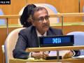 Sustainable recovery from COVID-19 pandemic should begin with vaccines: India at UN - Hindi News | Sustainable recovery from COVID-19 pandemic should begin with vaccines: India at UN | Latest international News at Lokmattimes.com