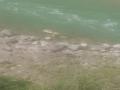 Bodies wash up on shores of river Sarayu in Uttarakhand; locals shocked, concerned - Hindi News | Bodies wash up on shores of river Sarayu in Uttarakhand; locals shocked, concerned | Latest national News at Lokmattimes.com