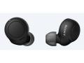 Sony India extends its affordable earbuds range with the launch of WF-C500 - Hindi News | Sony India extends its affordable earbuds range with the launch of WF-C500 | Latest business News at Lokmattimes.com