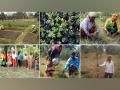 Social organization achieves massive milestone of planting 10 million trees across India - Hindi News | Social organization achieves massive milestone of planting 10 million trees across India | Latest business News at Lokmattimes.com