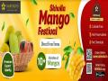 Skholla.in Mango Festival Sale lines up 10+ farm fresh, chemical-free mango varieties for door delivery - Hindi News | Skholla.in Mango Festival Sale lines up 10+ farm fresh, chemical-free mango varieties for door delivery | Latest business News at Lokmattimes.com
