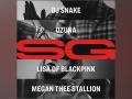 DJ Snake enlists Ozuna, Megan Thee Stallion, and Lisa of BLACKPINK for new single and music video "SG" - Hindi News | DJ Snake enlists Ozuna, Megan Thee Stallion, and Lisa of BLACKPINK for new single and music video "SG" | Latest business News at Lokmattimes.com