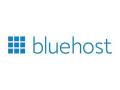 Bluehost launches Global Hunt for the Top 20 WordPress Creators - Hindi News | Bluehost launches Global Hunt for the Top 20 WordPress Creators | Latest business News at Lokmattimes.com