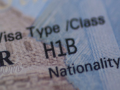 Texas probes firms in H-1B fraud case​ - Hindi News | Texas probes firms in H-1B fraud case​ | Latest international News at Lokmattimes.com