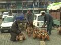 Kangri fire pots in great demand during winter in Kashmir - Hindi News | Kangri fire pots in great demand during winter in Kashmir | Latest national News at Lokmattimes.com