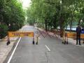Educational institute in Indore declares 'no vehicle zone' on campus in effort to save squirrels - Hindi News | Educational institute in Indore declares 'no vehicle zone' on campus in effort to save squirrels | Latest national News at Lokmattimes.com