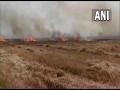 Wheat crop on 200 acres destroyed in fire in Haryana's Karnal - Hindi News | Wheat crop on 200 acres destroyed in fire in Haryana's Karnal | Latest national News at Lokmattimes.com