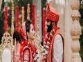92 pc Indian singles looking for love in matrimony: BharatMatrimony Valentine's Day Survey - Hindi News | 92 pc Indian singles looking for love in matrimony: BharatMatrimony Valentine's Day Survey | Latest lifestyle News at Lokmattimes.com