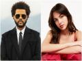 Olivia Rodrigo, The Weeknd lead 2021 American Music Awards nominations - Hindi News | Olivia Rodrigo, The Weeknd lead 2021 American Music Awards nominations | Latest entertainment News at Lokmattimes.com