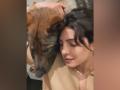 Priyanka Chopra sends 'virtual hug' for fans - Hindi News | Priyanka Chopra sends 'virtual hug' for fans | Latest entertainment News at Lokmattimes.com