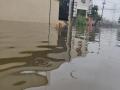 Heavy rains continue to lash parts of Tamil Nadu, nearby areas - Hindi News | Heavy rains continue to lash parts of Tamil Nadu, nearby areas | Latest national News at Lokmattimes.com