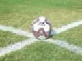 AIFF condoles demise of Asian Games gold medalist D Ethiraj - Hindi News | AIFF condoles demise of Asian Games gold medalist D Ethiraj | Latest football News at Lokmattimes.com