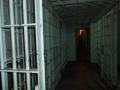 2 COVID-19 positive prisoners escape Pune's Yerawada prison - Hindi News | 2 COVID-19 positive prisoners escape Pune's Yerawada prison | Latest maharashtra News at Lokmattimes.com