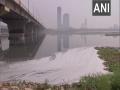 Thin layer of toxic foam floats near Yamuna River bank in Delhi - Hindi News | Thin layer of toxic foam floats near Yamuna River bank in Delhi | Latest lifestyle News at Lokmattimes.com
