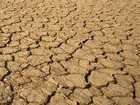 United Nations Warns of Food Crisis in Zimbabwe After Drought Ravages Crops