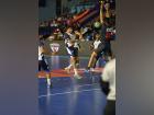 Premier Handball League: Maharashtra Ironmen defeat Rajasthan Patriots; books place in final