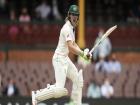 Australia batsman Will Pucovski suffers concussion in training