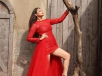 Kannada actress Ragini Dwivedi to feature in Hindi, Punjab album - News | Kannada actress Ragini Dwivedi to feature in Hindi, Punjab album | Latest entertainment News at Lokmattimes.com