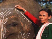 Assam: 67-Year-Old Parbati Baruah Is India’s First Woman ‘Mahout’ Breaks the Glass Ceiling to Win Padma Shri Award - News | Assam: 67-Year-Old Parbati Baruah Is India’s First Woman ‘Mahout’ Breaks the Glass Ceiling to Win Padma Shri Award | Latest national News at Lokmattimes.com