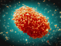 Mpox in India: Health Experts Urge Calm, Say No Need to Panic as Covid-Like Pandemic Unlikely Despite Suspected Case - News | Mpox in India: Health Experts Urge Calm, Say No Need to Panic as Covid-Like Pandemic Unlikely Despite Suspected Case | Latest health News at Lokmattimes.com Mpox in India: Health Experts Urge Calm, Say No Need to Panic as Covid-Like Pandemic Unlikely Despite Suspected Case - News | Mpox in India: Health Experts Urge Calm, Say No Need to Panic as Covid-Like Pandemic Unlikely Despite Suspected Case | Latest health News at Lokmattimes.com