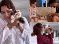 Ankita Lokhande and Vicky Jain Overjoyed As They Welcome Furry Friend, Mau (Watch Video) - News | Ankita Lokhande and Vicky Jain Overjoyed As They Welcome Furry Friend, Mau (Watch Video) | Latest entertainment News at Lokmattimes.com Ankita Lokhande and Vicky Jain Overjoyed As They Welcome Furry Friend, Mau (Watch Video) - News | Ankita Lokhande and Vicky Jain Overjoyed As They Welcome Furry Friend, Mau (Watch Video) | Latest entertainment News at Lokmattimes.com