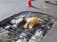 Project manager held for 2019 Hero Honda Chowk flyover collapse in Gurugram - News | Project manager held for 2019 Hero Honda Chowk flyover collapse in Gurugram | Latest national News at Lokmattimes.com Project manager held for 2019 Hero Honda Chowk flyover collapse in Gurugram - News | Project manager held for 2019 Hero Honda Chowk flyover collapse in Gurugram | Latest national News at Lokmattimes.com