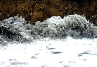 Japan Earthquake: 7.1-Magnitude Quake Triggers 50 cm Tsunami at Miyazaki Port; Advisories Issued for Southern Prefectures - News | Japan Earthquake: 7.1-Magnitude Quake Triggers 50 cm Tsunami at Miyazaki Port; Advisories Issued for Southern Prefectures | Latest international News at Lokmattimes.com Japan Earthquake: 7.1-Magnitude Quake Triggers 50 cm Tsunami at Miyazaki Port; Advisories Issued for Southern Prefectures - News | Japan Earthquake: 7.1-Magnitude Quake Triggers 50 cm Tsunami at Miyazaki Port; Advisories Issued for Southern Prefectures | Latest international News at Lokmattimes.com