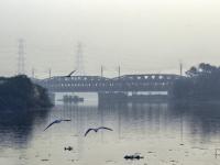 PM 2.5 level lower in Delhi after Diwali but above safe limits: CPCB data - News | PM 2.5 level lower in Delhi after Diwali but above safe limits: CPCB data | Latest national News at Lokmattimes.com