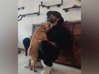 "My Brando has gone" Amit Sadh heart-broken after pet's death - News | "My Brando has gone" Amit Sadh heart-broken after pet's death | Latest entertainment News at Lokmattimes.com