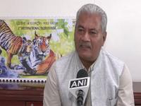 India has 75 pc of world's tiger population: NTCA - News | India has 75 pc of world's tiger population: NTCA | Latest national News at Lokmattimes.com