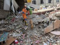 Earthquake of Magnitude 6.0 Strikes Myanmar - News | Earthquake of Magnitude 6.0 Strikes Myanmar | Latest international News at Lokmattimes.com Earthquake of Magnitude 6.0 Strikes Myanmar - News | Earthquake of Magnitude 6.0 Strikes Myanmar | Latest international News at Lokmattimes.com