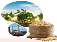 Patanjali-backed Ruchi Soya raises Rs 1,290 crore from anchor investors - News | Patanjali-backed Ruchi Soya raises Rs 1,290 crore from anchor investors | Latest business News at Lokmattimes.com