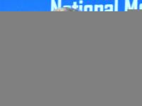 Several states protest move to bring GST network within money laundering law's ambit - News | Several states protest move to bring GST network within money laundering law's ambit | Latest politics News at Lokmattimes.com Several states protest move to bring GST network within money laundering law's ambit - News | Several states protest move to bring GST network within money laundering law's ambit | Latest politics News at Lokmattimes.com