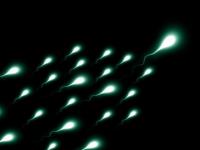 Covid-19 May Temporarily Affect Sperm Quality, Finds Study - News | Covid-19 May Temporarily Affect Sperm Quality, Finds Study | Latest health News at Lokmattimes.com
