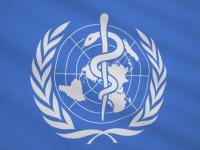 Need stronger policies to protect kids from harms of food marketing: WHO - News | Need stronger policies to protect kids from harms of food marketing: WHO | Latest international News at Lokmattimes.com Need stronger policies to protect kids from harms of food marketing: WHO - News | Need stronger policies to protect kids from harms of food marketing: WHO | Latest international News at Lokmattimes.com