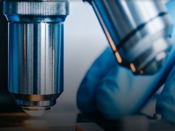 गोल्डमैन सैश, जेपी मॉर्गन सहित 10 मर्चेंट बैंकर करेंगे एलआईसी के आईपीओ का प्रबंधन - Hindi News | 10 merchant bankers including Goldman Sachs, JP Morgan to manage LIC's IPO | Latest business News at Lokmatnews.in