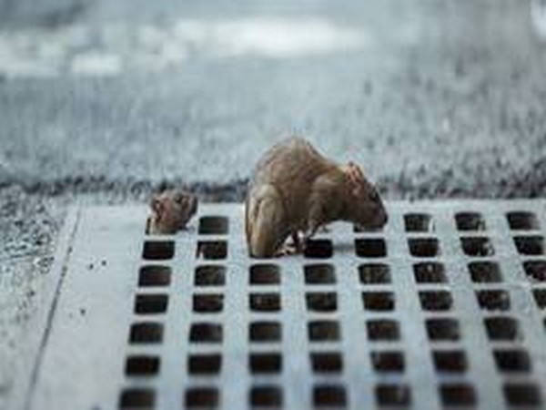 China introduces new rule to control foreign ships in its waters | चीन ने अपने जलक्षेत्र में विदेशी जहाजों को नियंत्रित करने के लिए नया नियम लागू किया