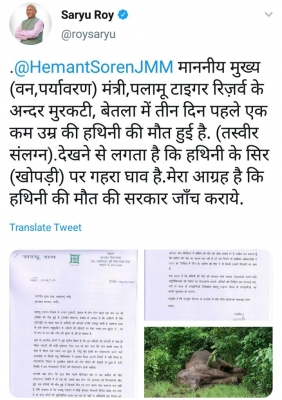 Three Nilgai dies after being struck by electric wire in Palamu Tiger Reserve | पलामू बाघ अभयारण्य में तीन नीलगायों की बिजली की तार की चपेट में आने से मौत Three Nilgai dies after being struck by electric wire in Palamu Tiger Reserve | पलामू बाघ अभयारण्य में तीन नीलगायों की बिजली की तार की चपेट में आने से मौत