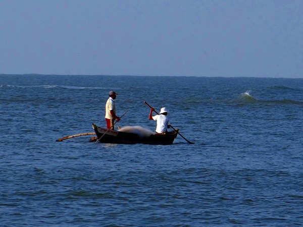 Sri Lankan Navy allegedly damaged boats of Indian fishermen by pelting stones | श्रीलंकाई नौसेना ने भारतीय मछुआरों की नावों को कथित तौर पर पथराव कर क्षतिग्रस्त किया