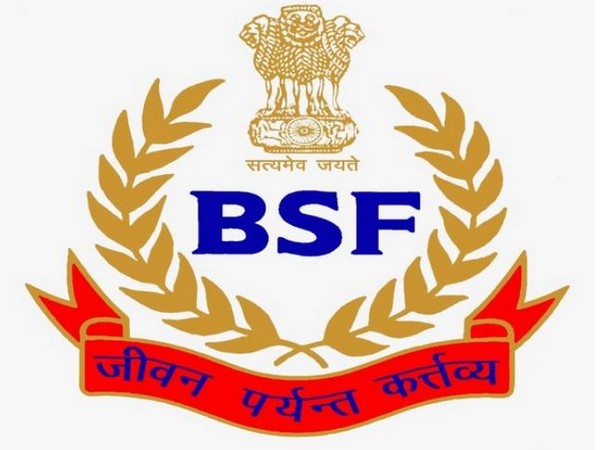 BSF personnel fired at a flying object in Jammu | जम्मू में बीएसएफ कर्मियों ने उड़ती वस्तु पर गोली चलाई