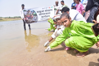 World Turtle Day: Hundreds of hatchlings released in Chambal | World Turtle Day: Hundreds of hatchlings released in Chambal