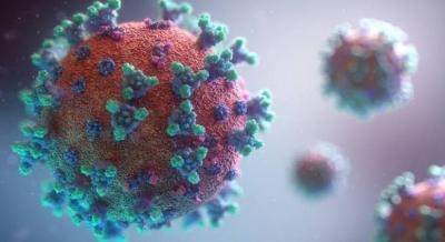 Coronavirus epidemics 1st hit over 21,000 years ago: Study | Coronavirus epidemics 1st hit over 21,000 years ago: Study