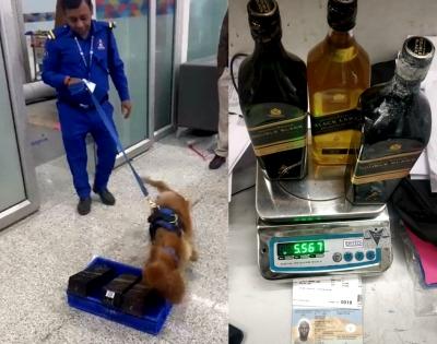 Tanzanian arrested for smuggling cocaine concealed in whiskey bottles | Tanzanian arrested for smuggling cocaine concealed in whiskey bottles Tanzanian arrested for smuggling cocaine concealed in whiskey bottles | Tanzanian arrested for smuggling cocaine concealed in whiskey bottles