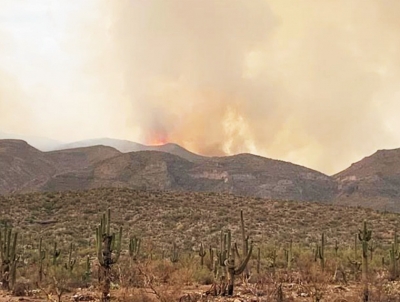 Arizona wildfire scorches 148,299 acres of land | Arizona wildfire scorches 148,299 acres of land