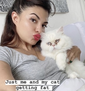 Jacqueline Fernandez posts selfie with pet cat | Jacqueline Fernandez posts selfie with pet cat