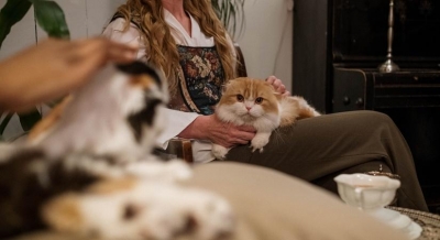 Worry less, travel more with your fur babies | Worry less, travel more with your fur babies Worry less, travel more with your fur babies | Worry less, travel more with your fur babies