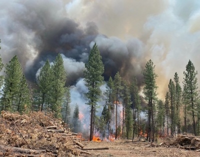 Oregon wildfire scorches area 1.5 times the size of NYC | Oregon wildfire scorches area 1.5 times the size of NYC