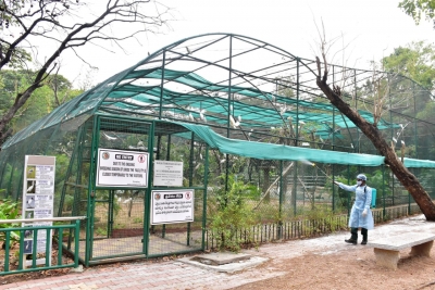 Hyderabad zoo stops chicken for animals, monitoring migratory birds | Hyderabad zoo stops chicken for animals, monitoring migratory birds
